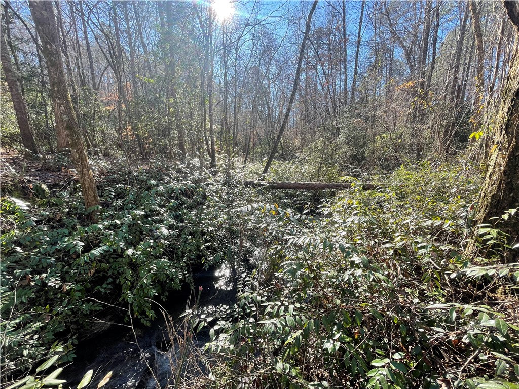 0 Alexander Road Salem, SC 29676 - Photo 20 of 46 Gallery Image 20