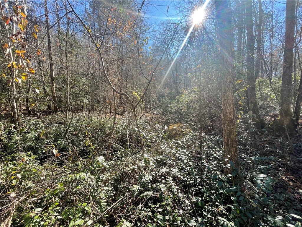 0 Alexander Road Salem, SC 29676 - Photo 22 of 46 Gallery Image 22