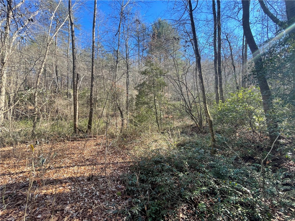 0 Alexander Road Salem, SC 29676 - Photo 23 of 46 Gallery Image 23