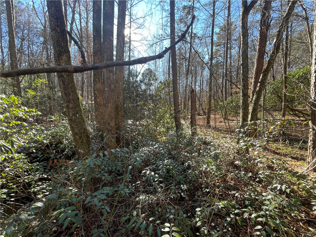 0 Alexander Road Salem, SC 29676 - Photo 31 of 46 Gallery Image 31