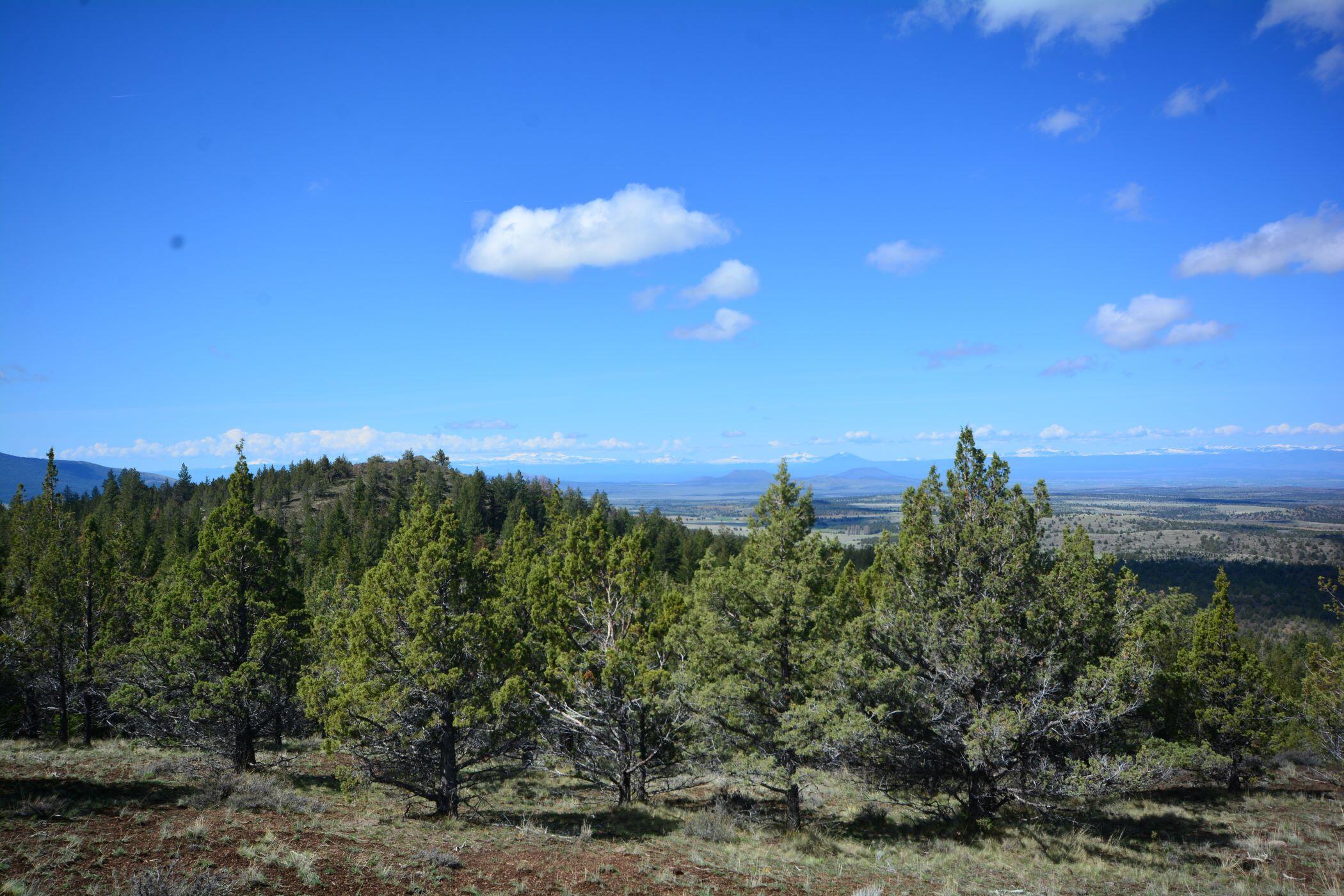 N/a N/a Coon Ridge Road Madras, OR 97741 - Photo 3 of 14 bare land for sale oregon bugle butte ml