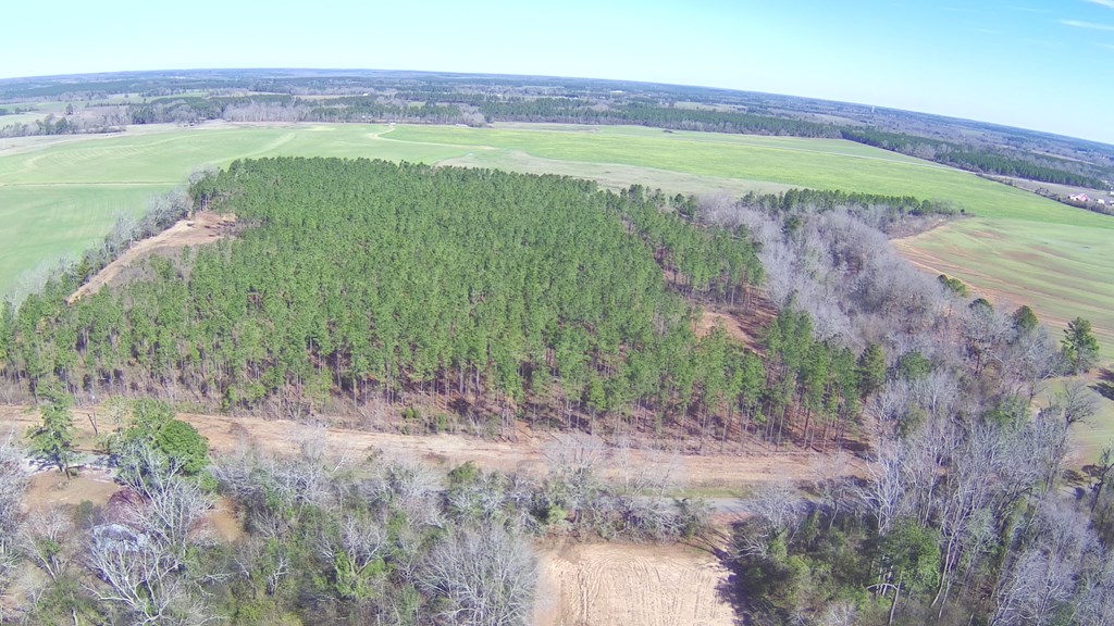 2 Ozark Road Newville, AL 36353 - Photo 2 of 3