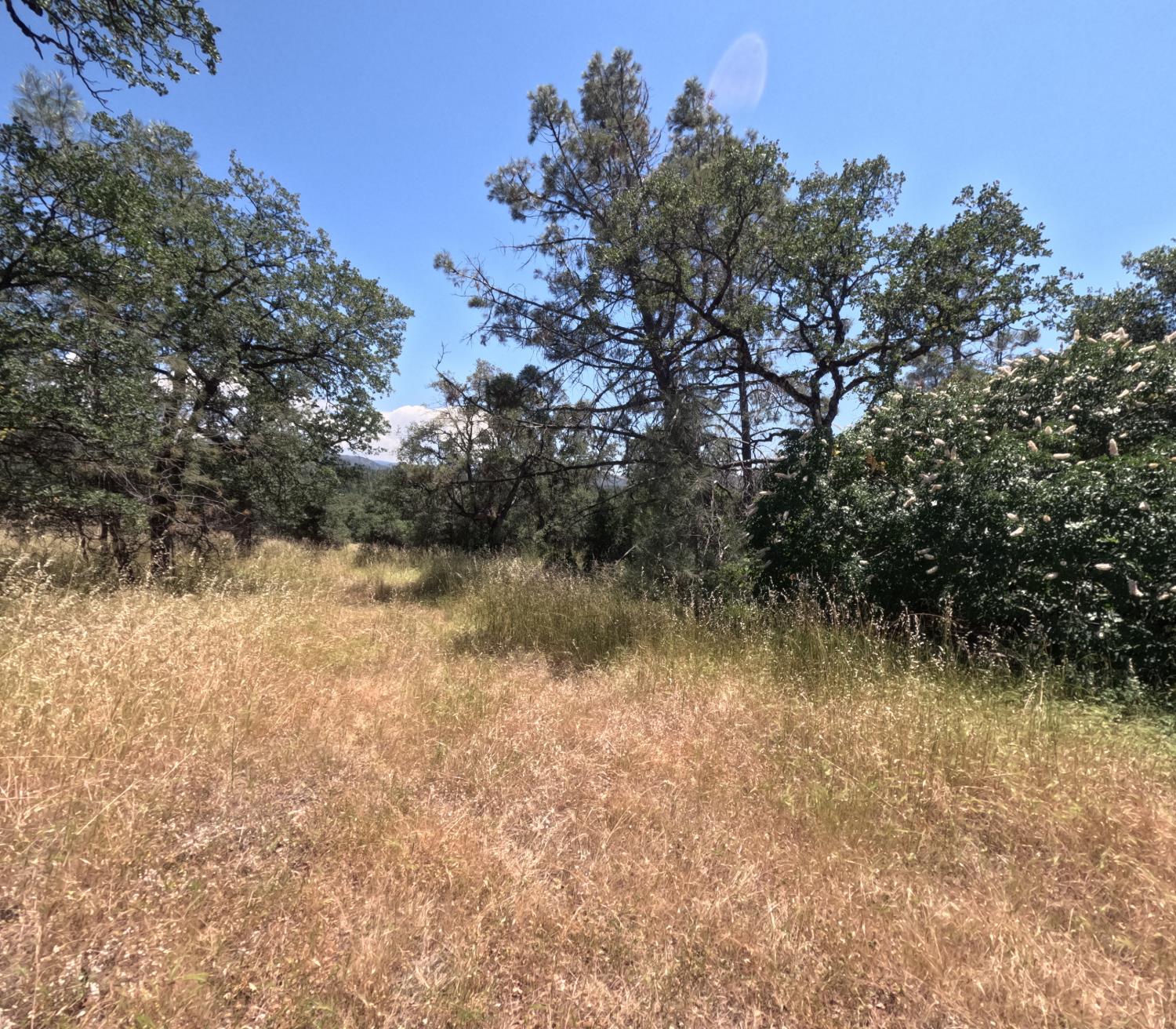 0 Hazen Road Manton, CA 96059 - Photo 3 of 11