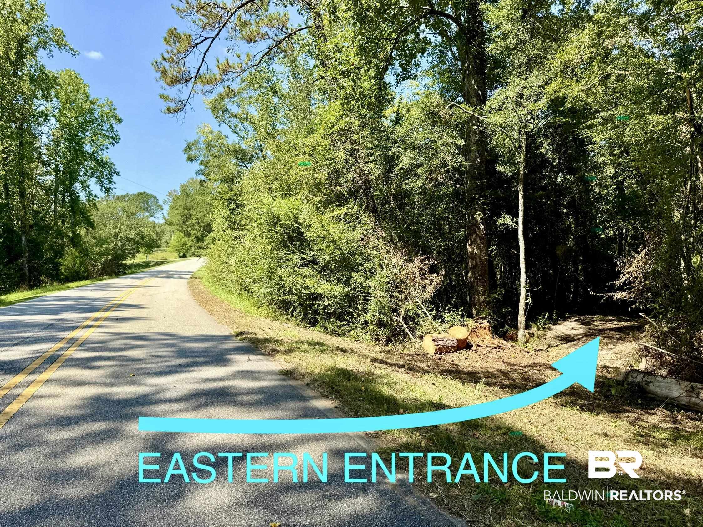 13850 Tallahatta Springs Road Thomasville, AL 36784 - Photo 6 of 27 View of asphalt road with a forest view