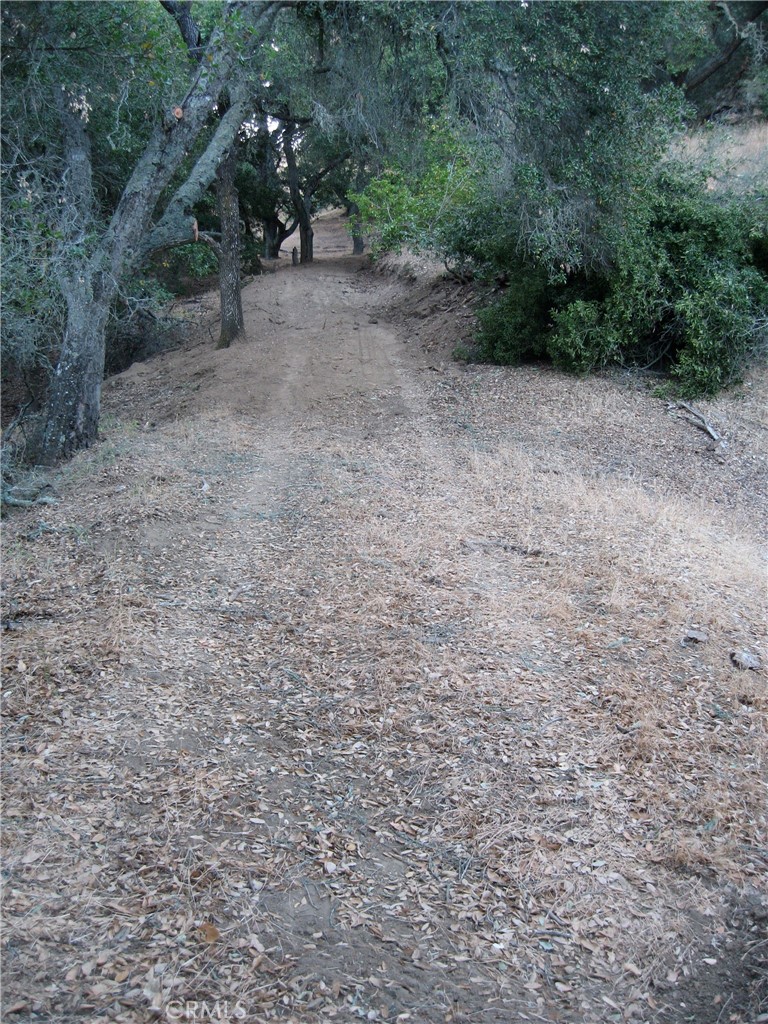 9500 Santa Rosa Creek Road Cambria, CA 93428 - Photo 21 of 33 Road down to possible home site