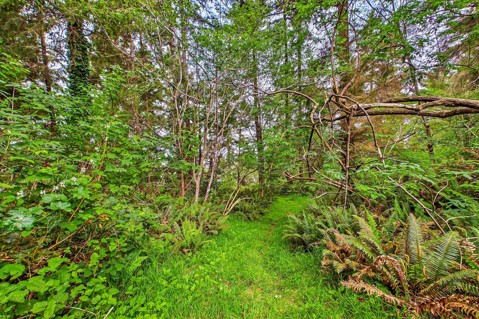 452 Tanglewood Road Arcata, CA 95521 - Photo 64 of 76