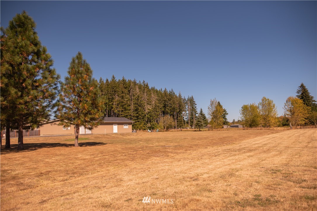 172 Fluckinger Road Toledo, WA 98591 - Photo 27 of 39 a view of outdoor space with trees