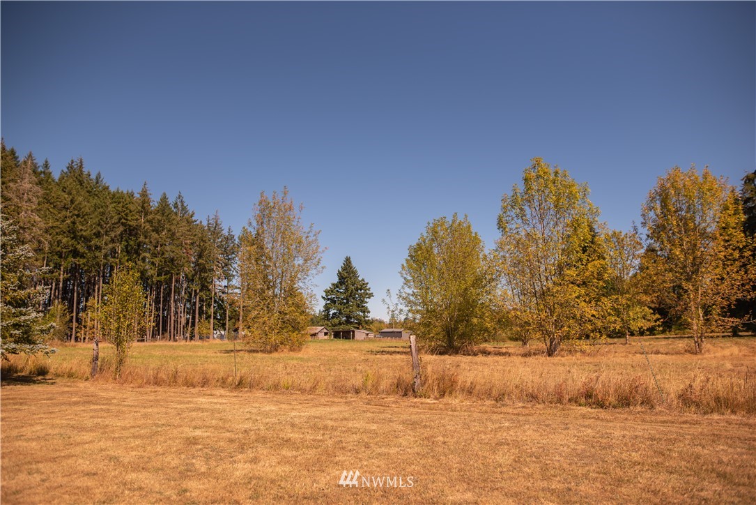 172 Fluckinger Road Toledo, WA 98591 - Photo 30 of 39 a view of large yard