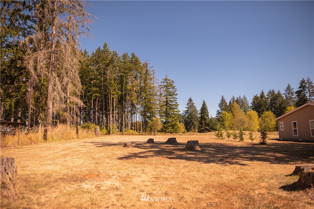 172 Fluckinger Road Toledo, WA 98591 - Photo 38 of 39 a view of outdoor space with trees
