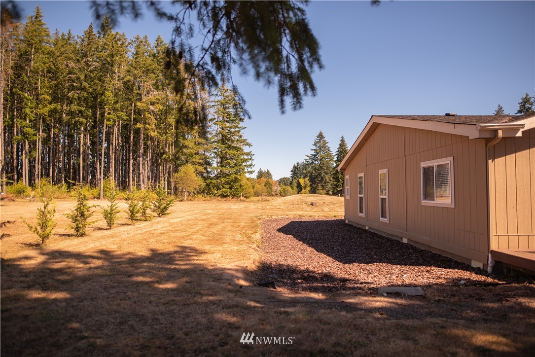172 Fluckinger Road Toledo, WA 98591 - Photo 5 of 39 a backyard of a house with large trees