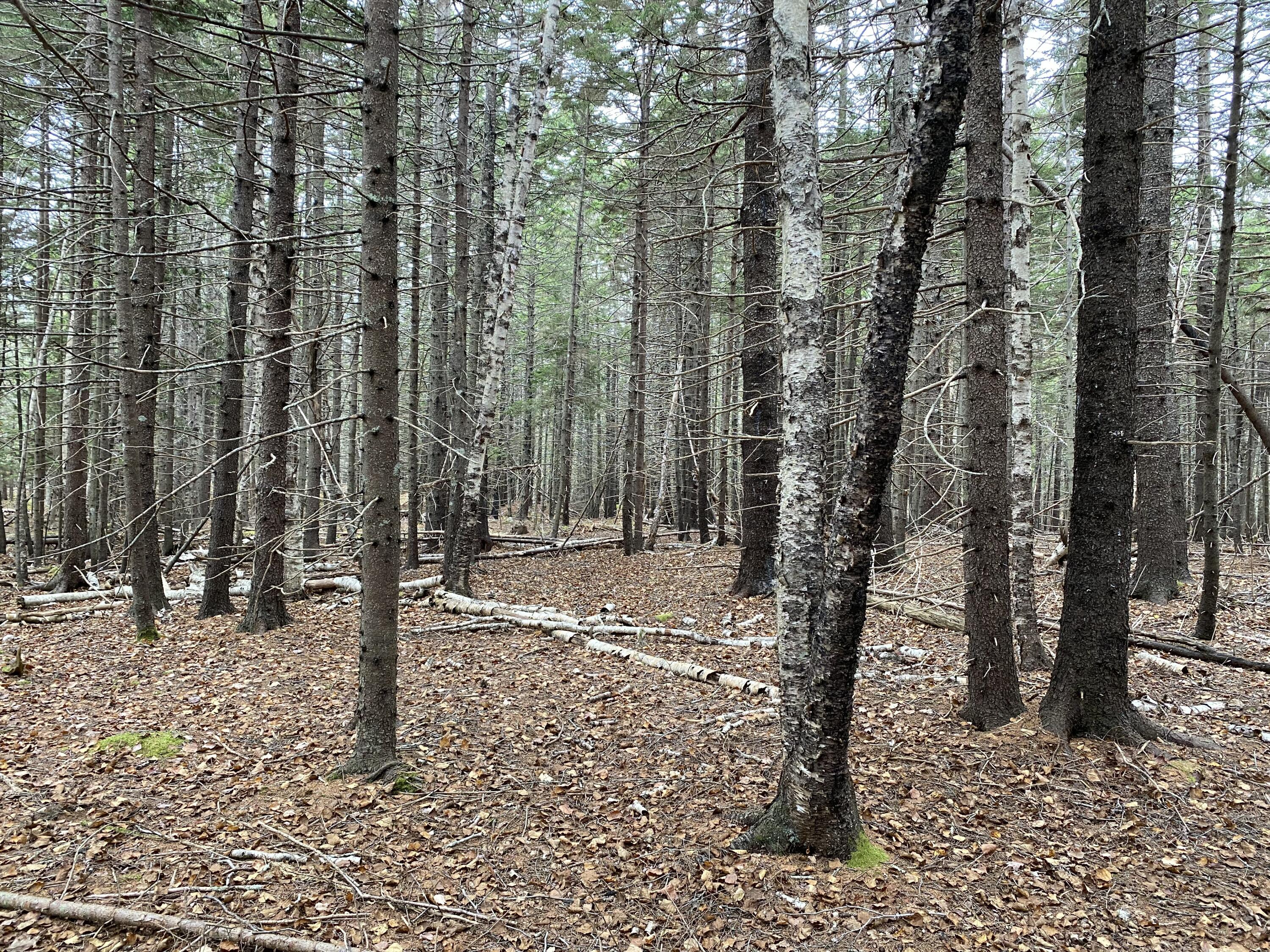 18-19h West Bay Road Islesboro, ME 04848 - Photo 2 of 5 Land/Lot.