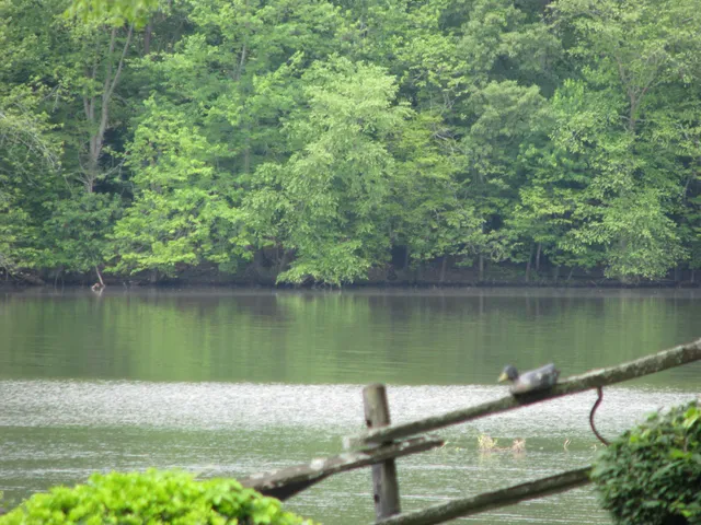 $80,000 | 22 Whipperwill Lane, Waverly, TN 37185