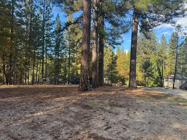 a view of outdoor space with trees
