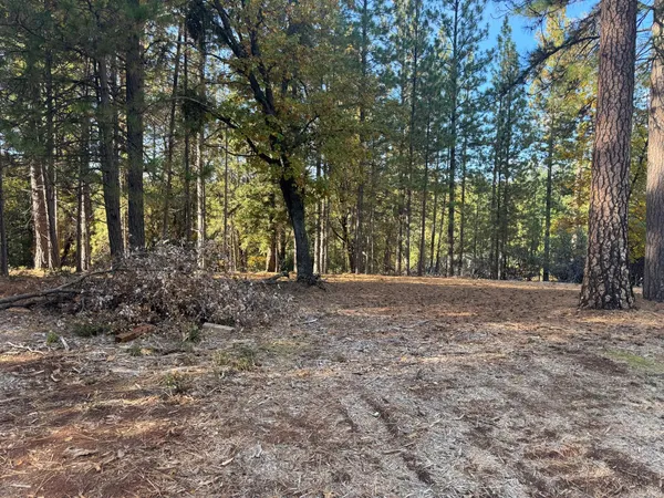 a view of outdoor space and trees