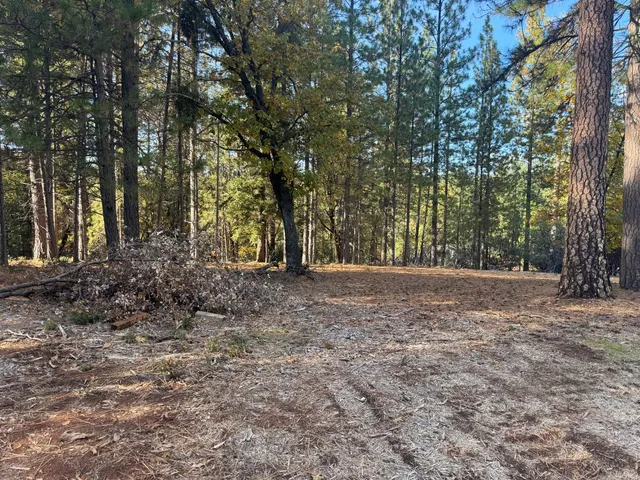a view of outdoor space and trees