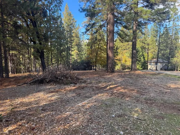 a view of a yard with trees
