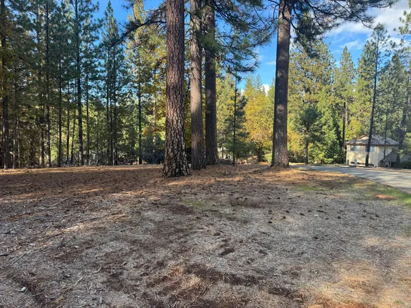 a view of outdoor space and trees