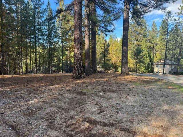 a view of outdoor space and trees