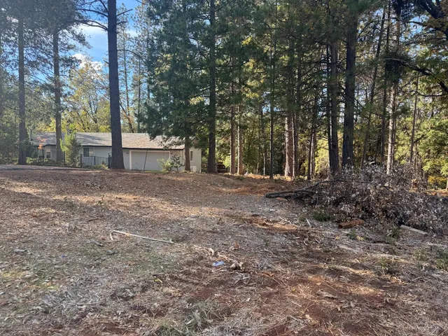 a view of a backyard with large trees