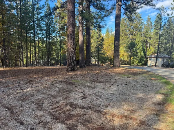 a view of outdoor space with trees