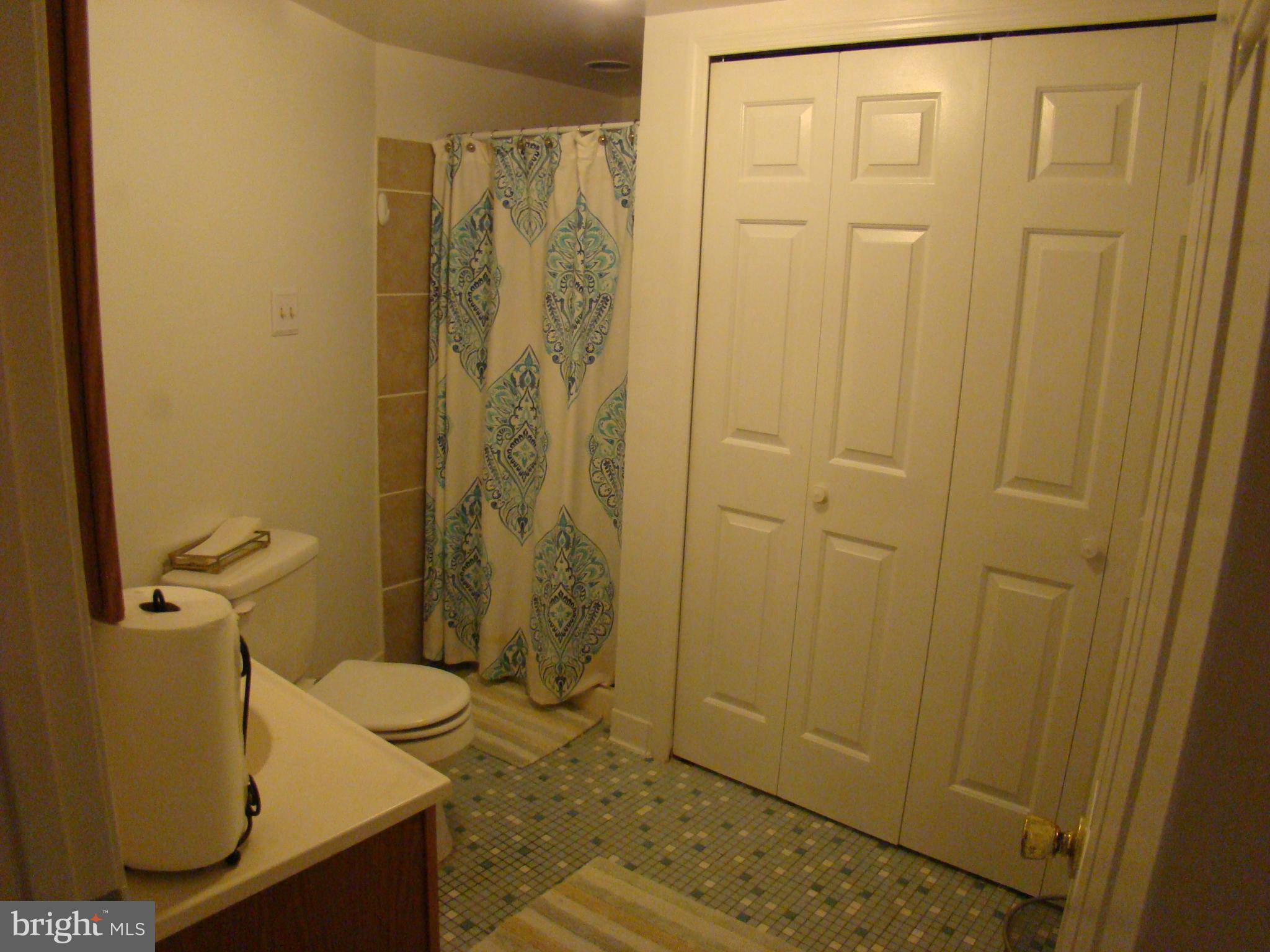 3307 Peach Tree Road Waldorf, MD 20601 - Photo 21 of 27 Bsmt bath