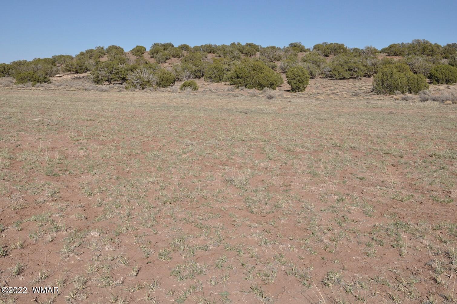 41 County Road Concho, AZ 85924 - Photo 11 of 13