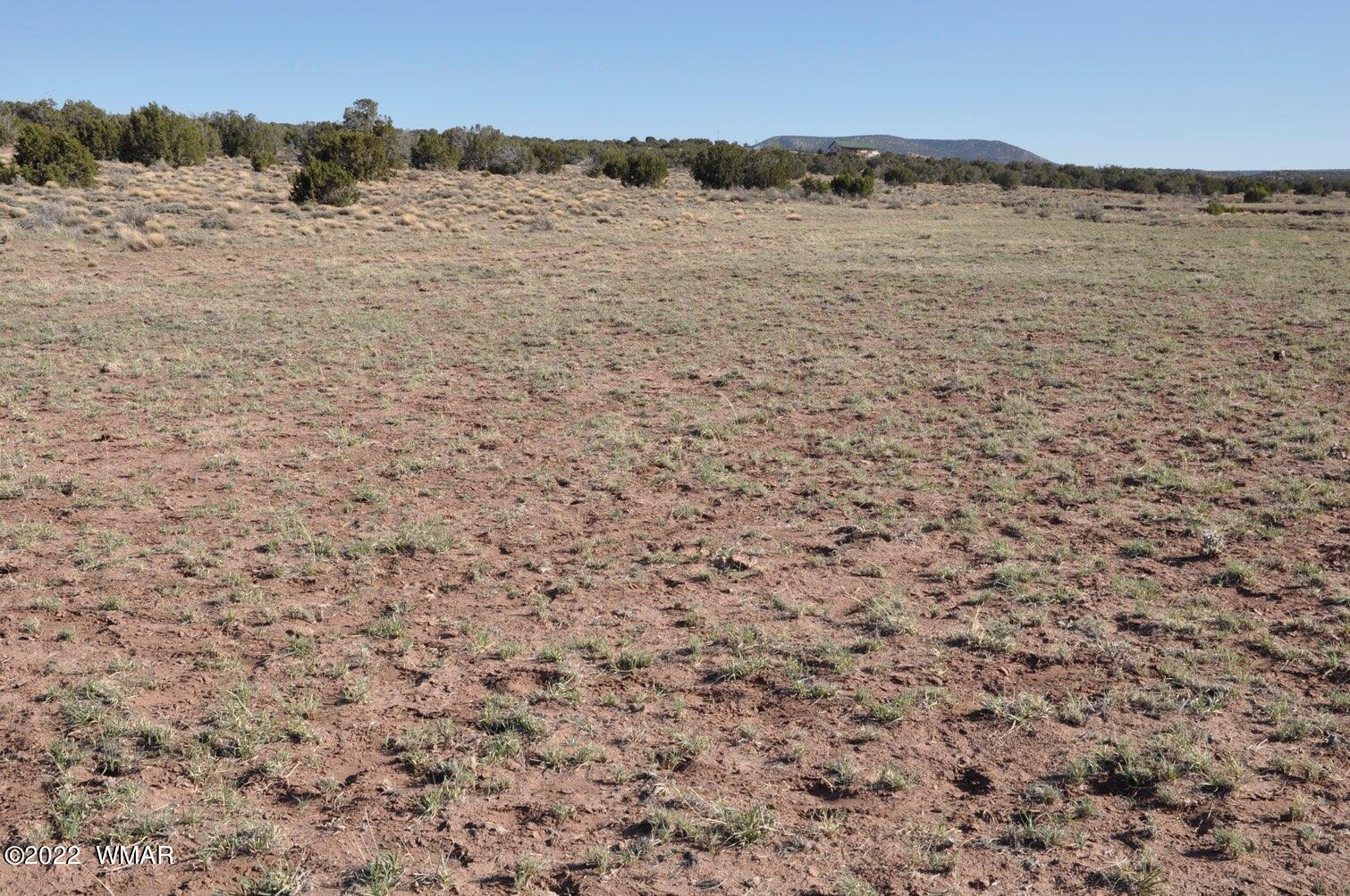 41 County Road Concho, AZ 85924 - Photo 12 of 13