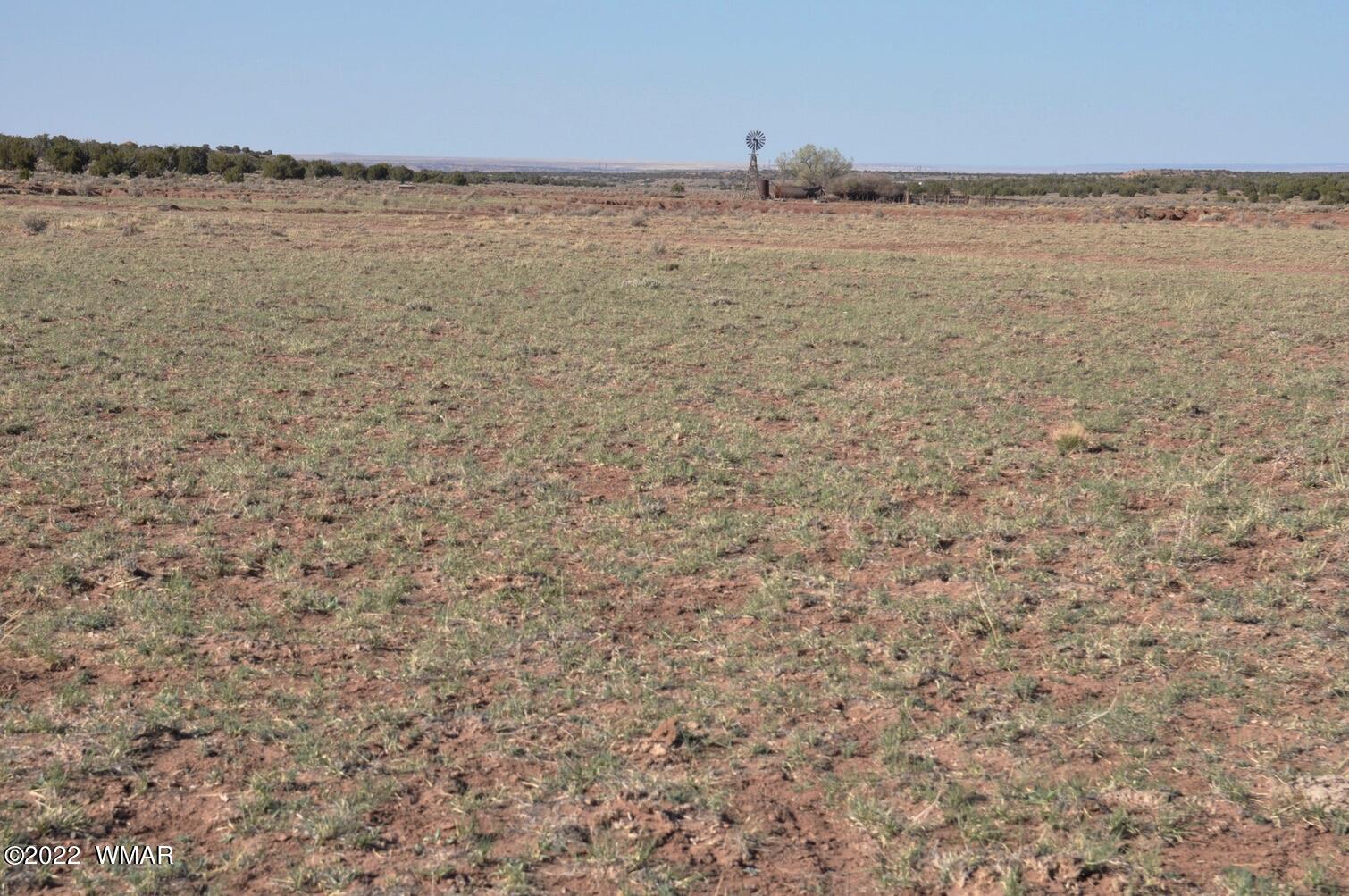 41 County Road Concho, AZ 85924 - Photo 13 of 13