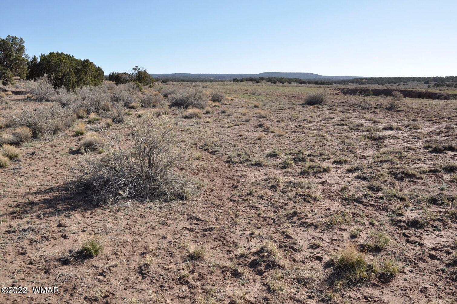 41 County Road Concho, AZ 85924 - Photo 4 of 13