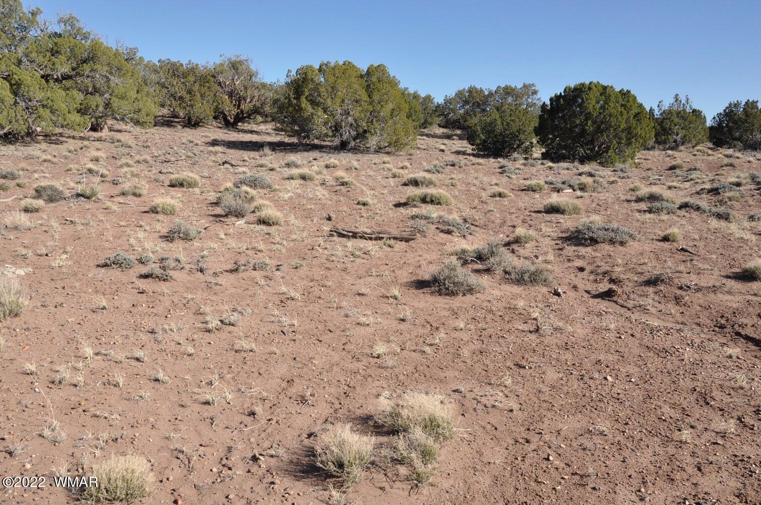 41 County Road Concho, AZ 85924 - Photo 6 of 13