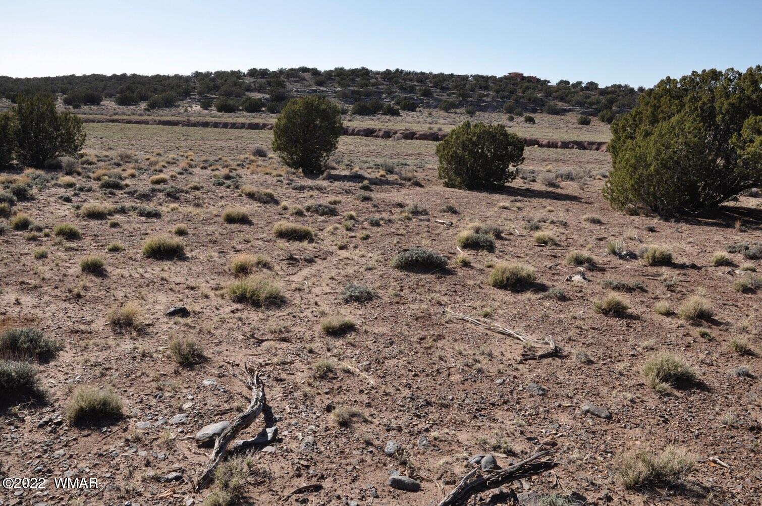 41 County Road Concho, AZ 85924 - Photo 7 of 13