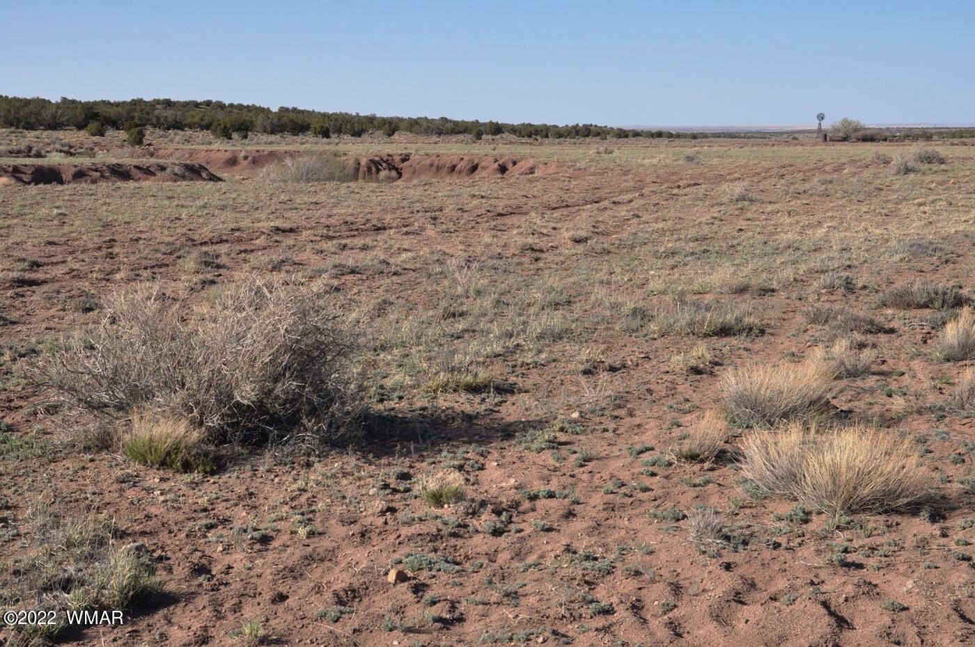 41 County Road Concho, AZ 85924 - Photo 8 of 13