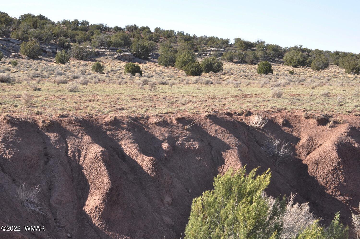 41 County Road Concho, AZ 85924 - Photo 10 of 13
