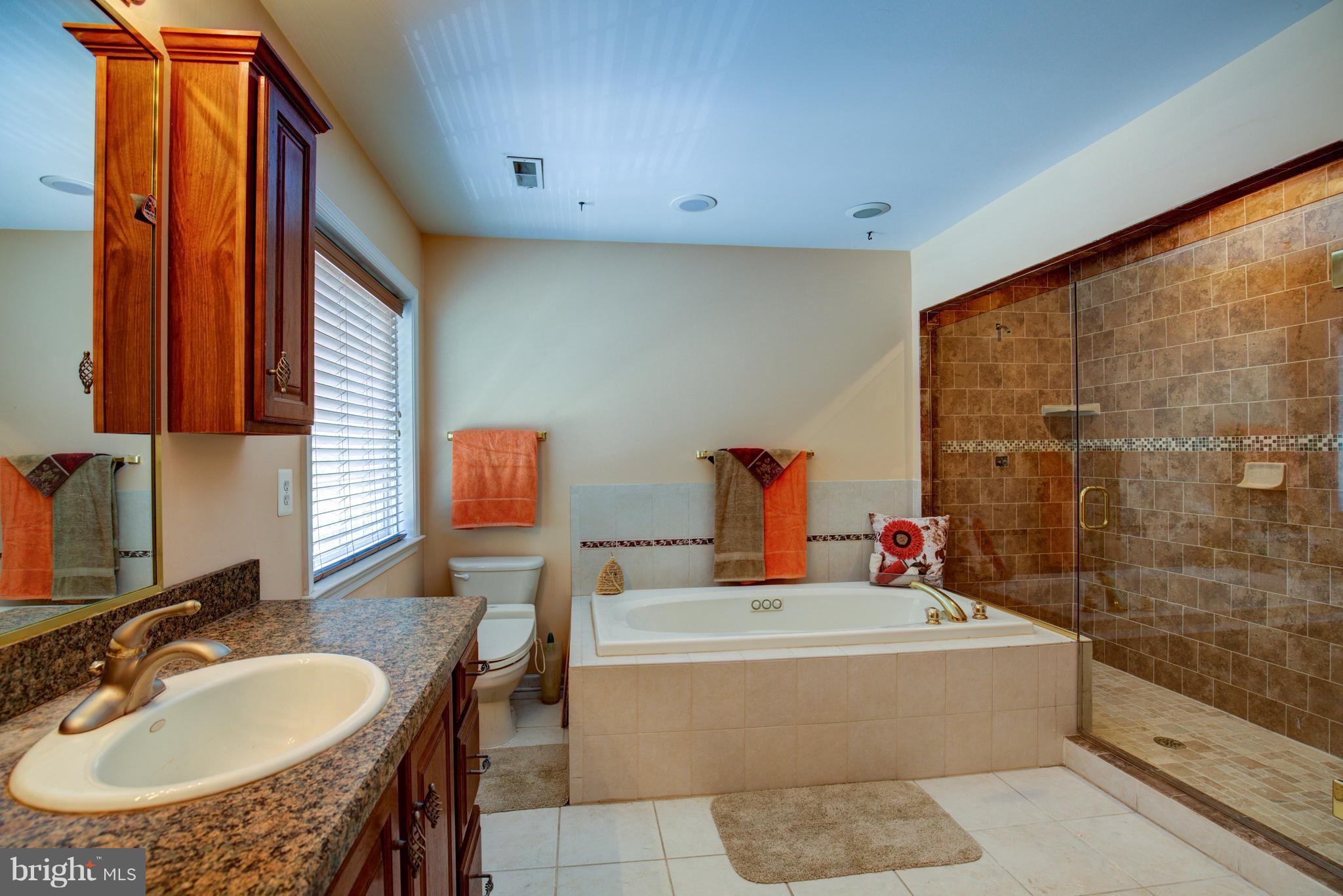 410 Old Kitchen Road White Post, VA 22663 - Photo 22 of 27 a bathroom with a tub sink and mirror