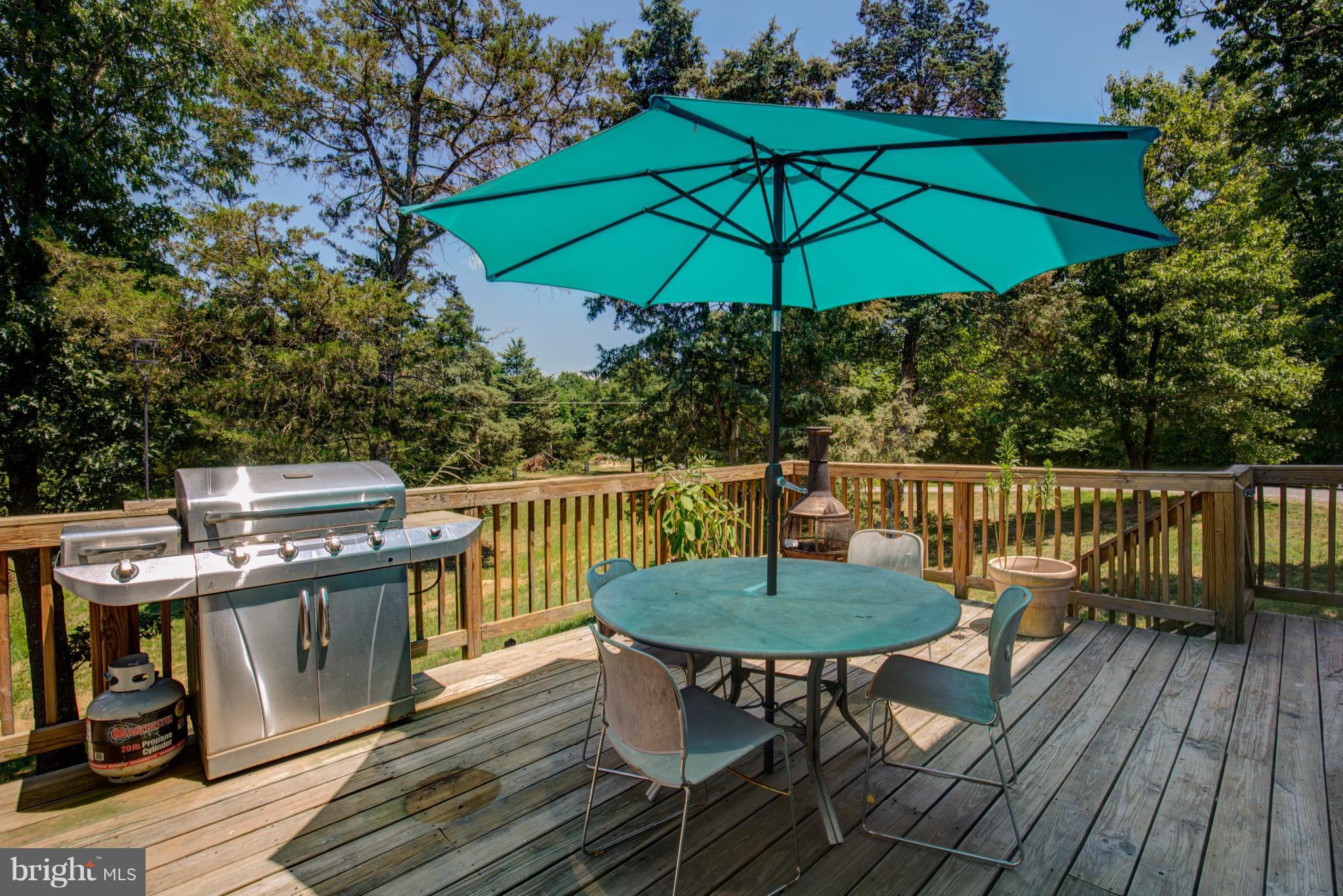410 Old Kitchen Road White Post, VA 22663 - Photo 6 of 27 an outdoor space with furniture and umbrella