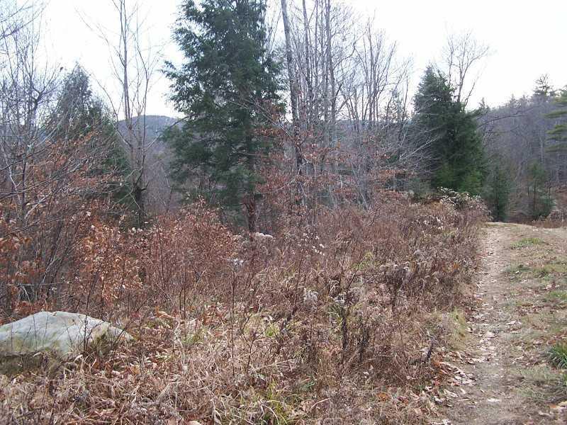 Lot 33 Canton Mountain Road Canton, ME 04221 - Photo 1 of 8 View.