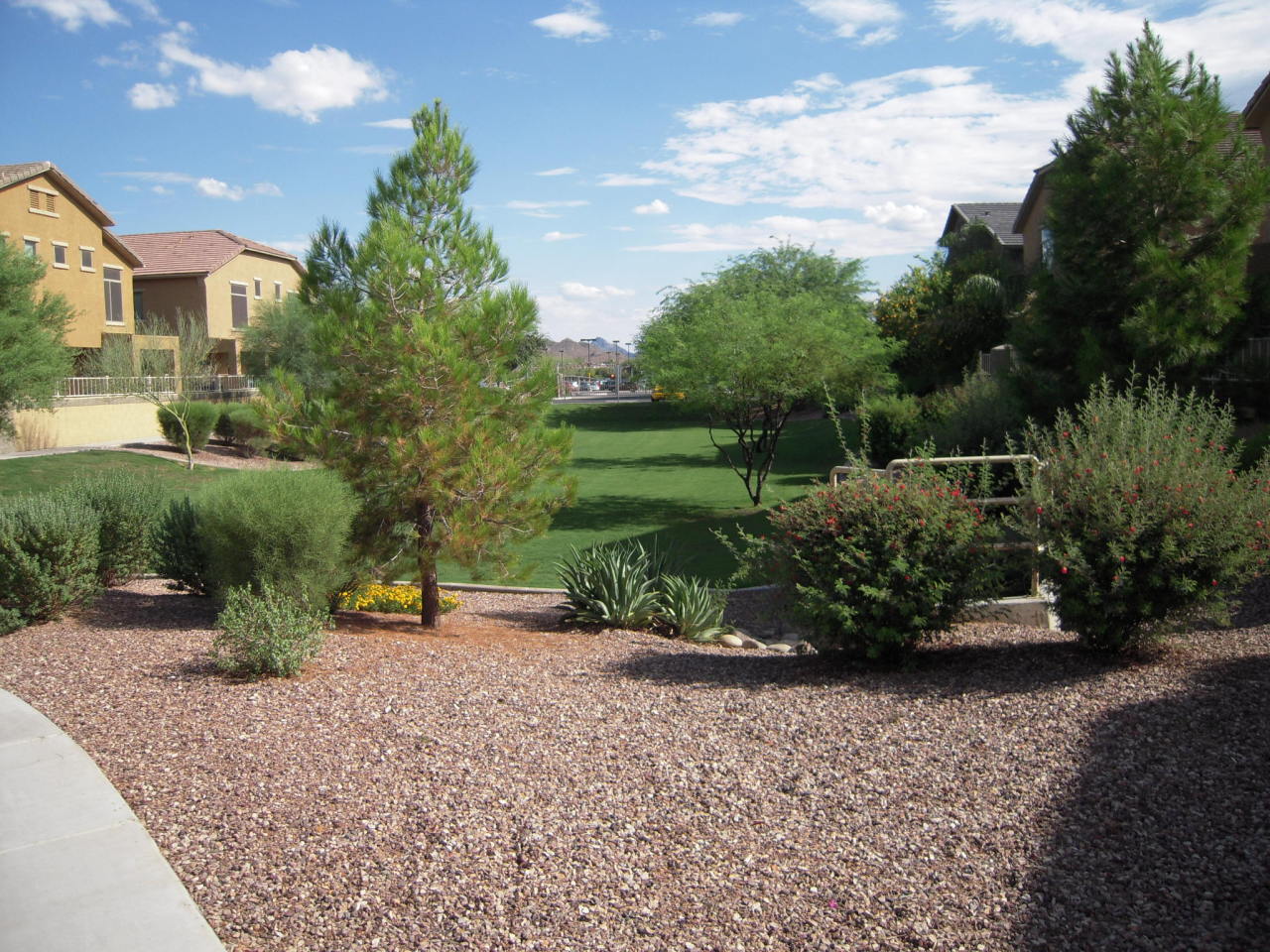 2150 East Bell Road, Unit 1133 Phoenix, AZ 85022 - Photo 11 of 18 green belt area