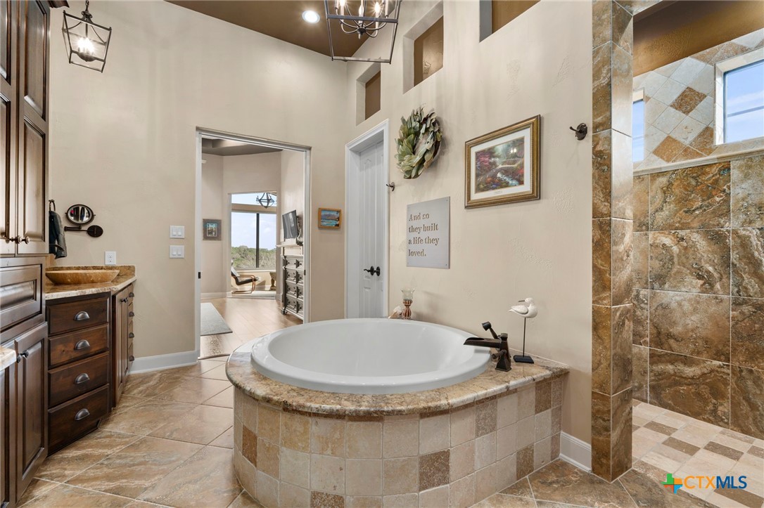 1039 Bluewater Place Spring Branch, TX 78070 - Photo 44 of 48 a bathroom with a granite countertop sink a toilet and shower