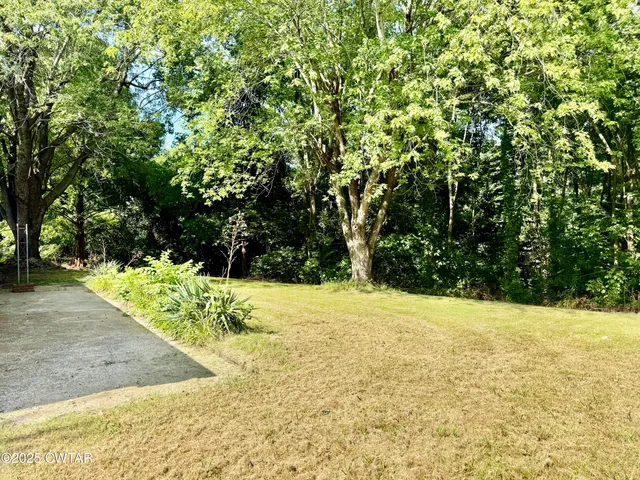 a view of a yard with large trees