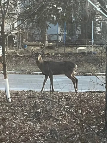 $265,000 | 22938 Poppy Street Northwest, St. Francis, MN 55070