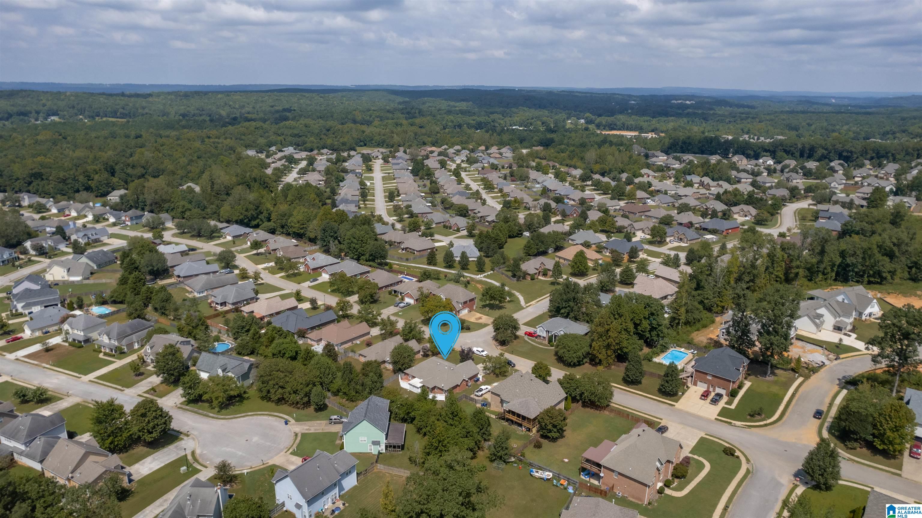 202 Cedar Grove Parkway Alabaster, AL 35114 - Photo 9 of 44