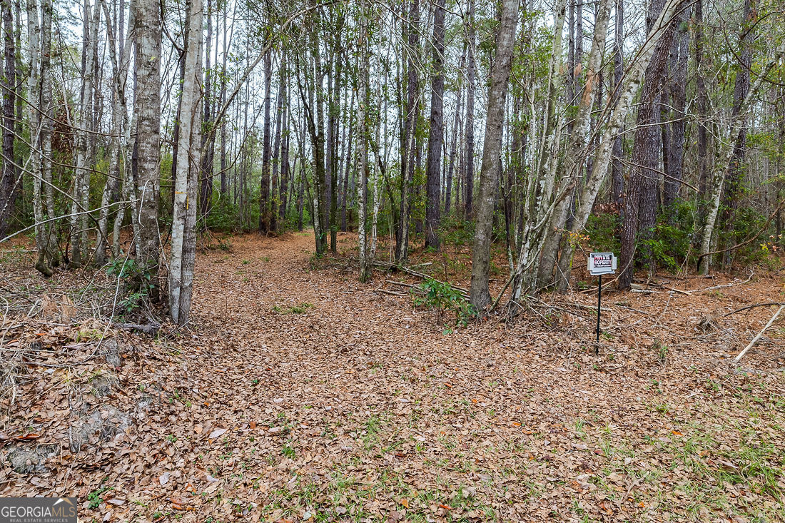 127 Winding Way Road Pembroke, GA 31321 - Photo 35 of 38 a backyard of a house with lots of green space