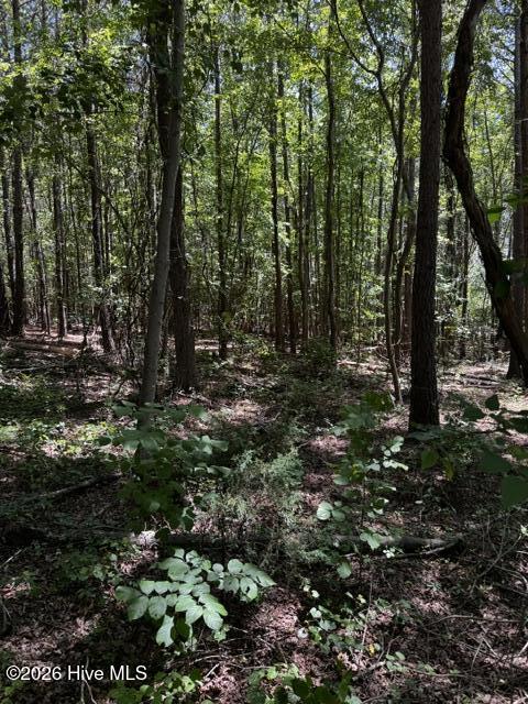 Lot 1 Dan Road Robbins, NC 27325 - Photo 19 of 20 IMG_5022