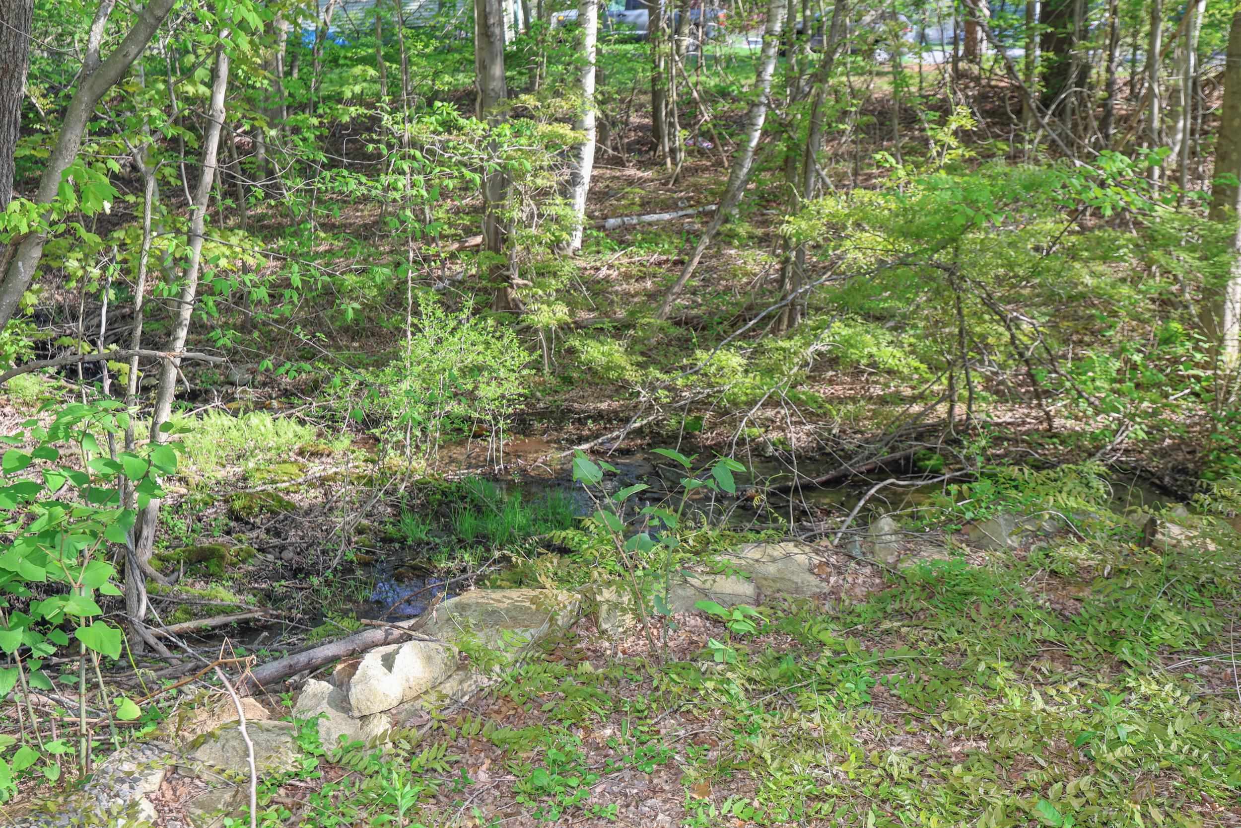 1 Richard Drive Derry, NH 03038 - Photo 3 of 19