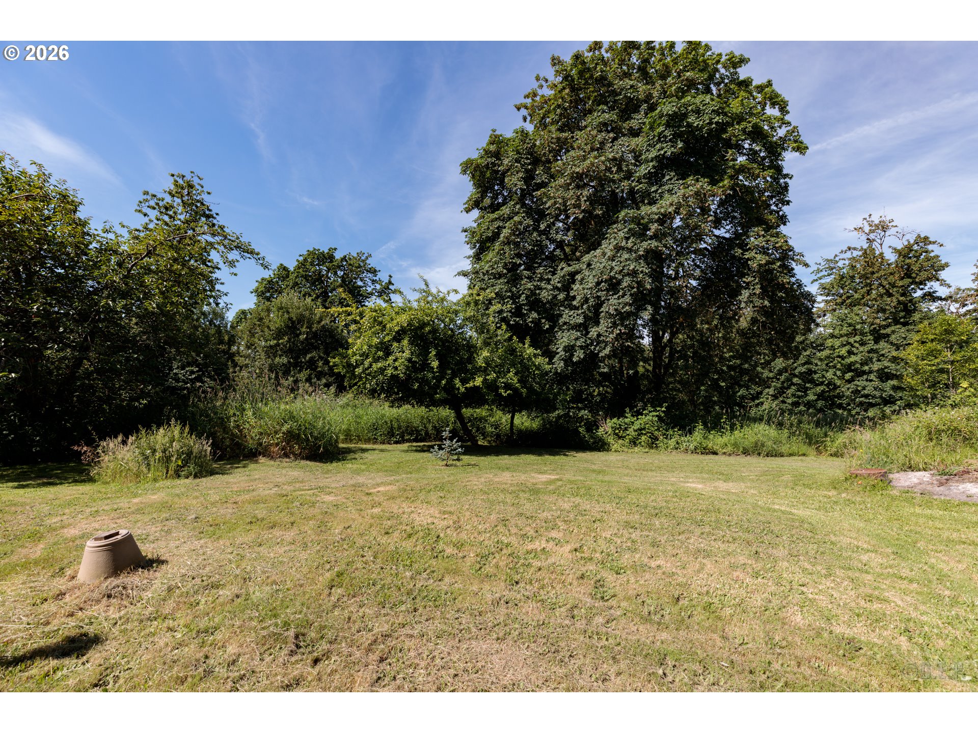 66971 Maplecrest Road Deer Island, OR 97054 - Photo 20 of 24 a view of a yard with a tree