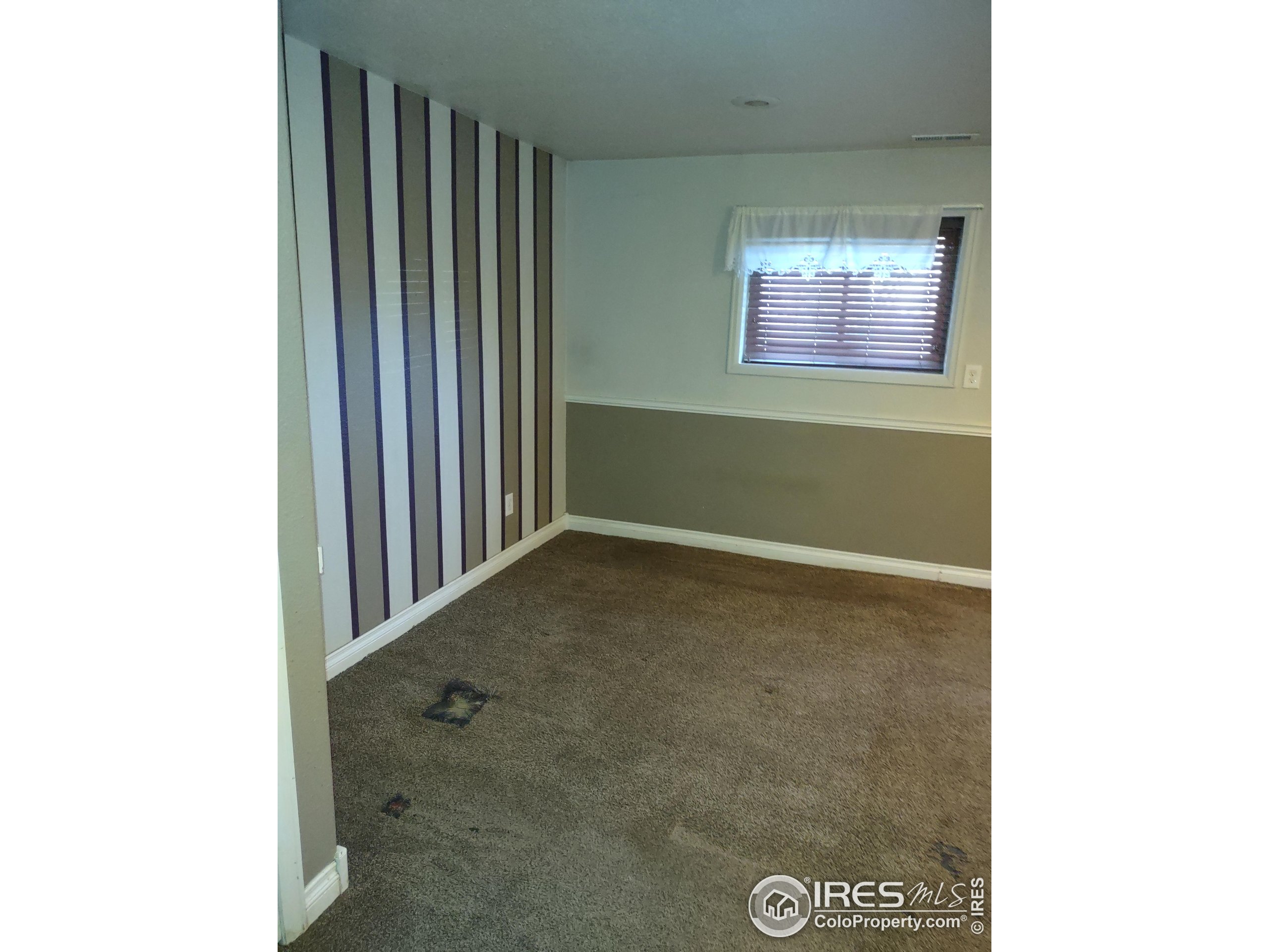 15 Maple Drive Frederick, CO 80530 - Photo 11 of 24