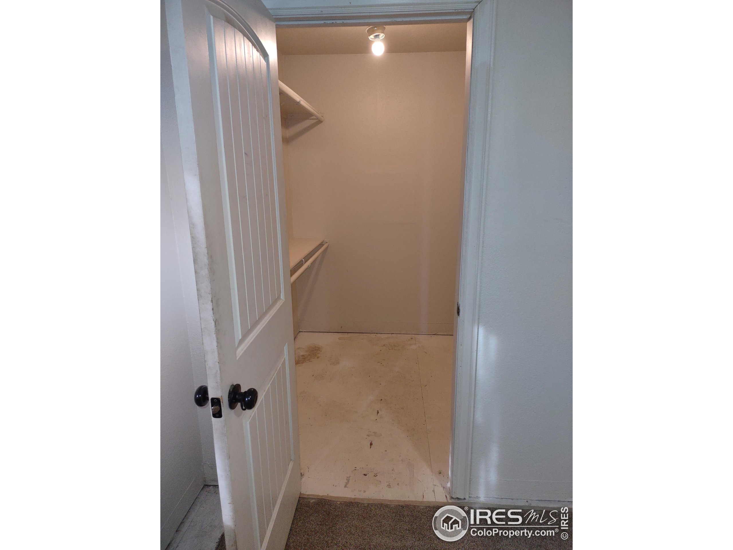 15 Maple Drive Frederick, CO 80530 - Photo 17 of 24