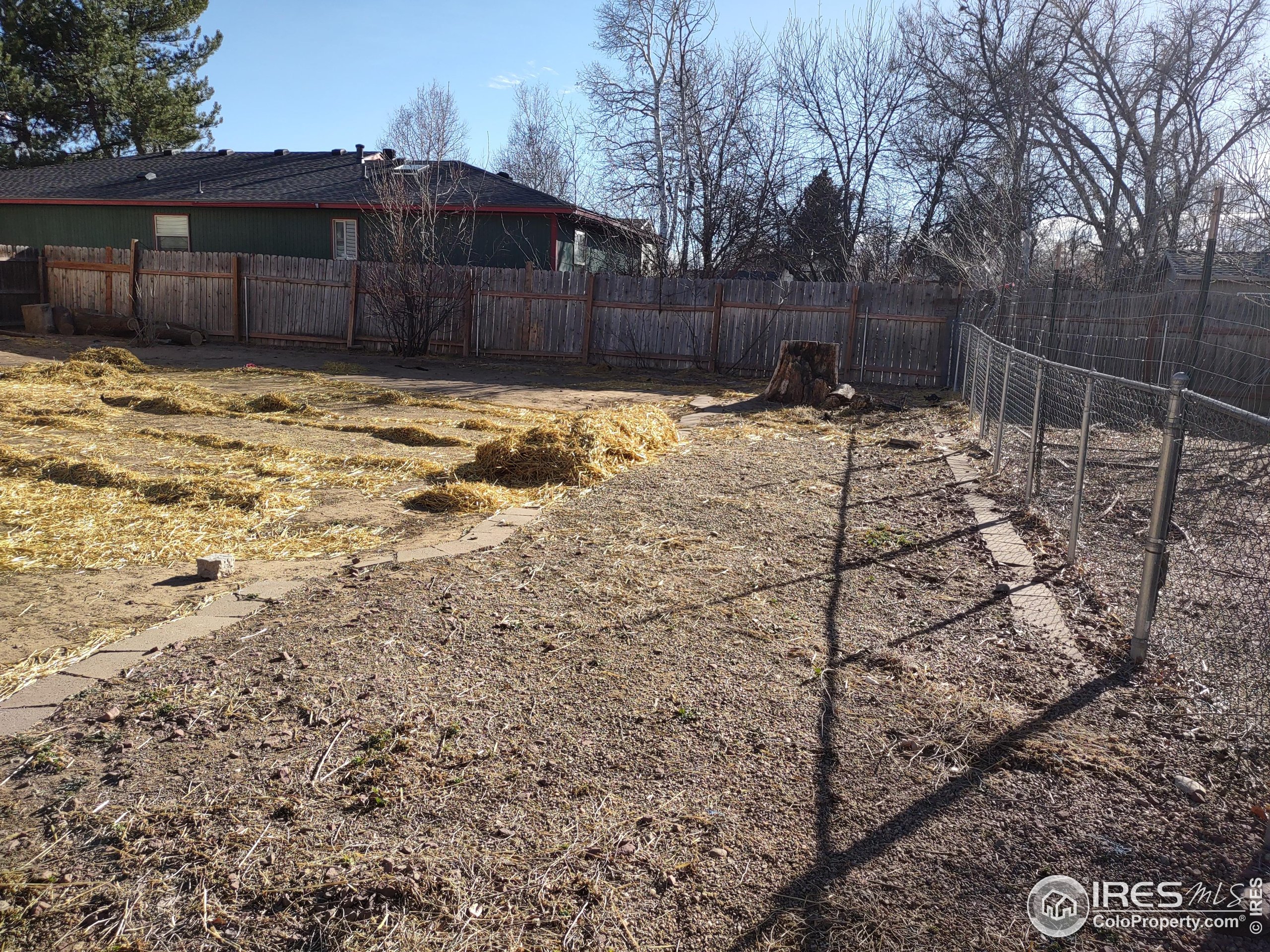 15 Maple Drive Frederick, CO 80530 - Photo 23 of 24