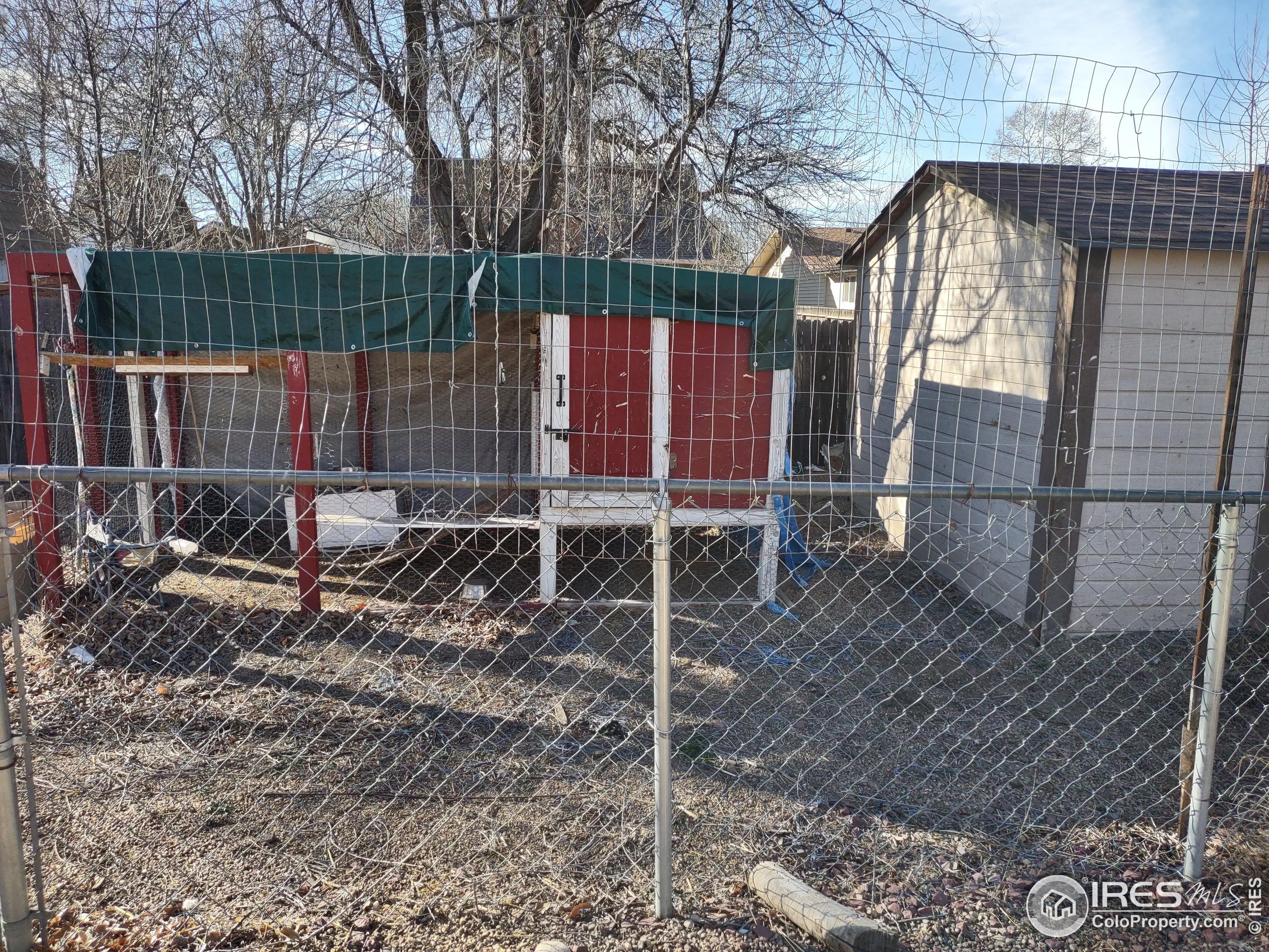 15 Maple Drive Frederick, CO 80530 - Photo 24 of 24