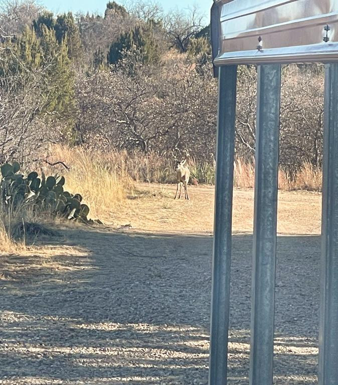 145 Lakesite Drive Spur, TX 79370 - Photo 11 of 20 a view of ocean with a tree
